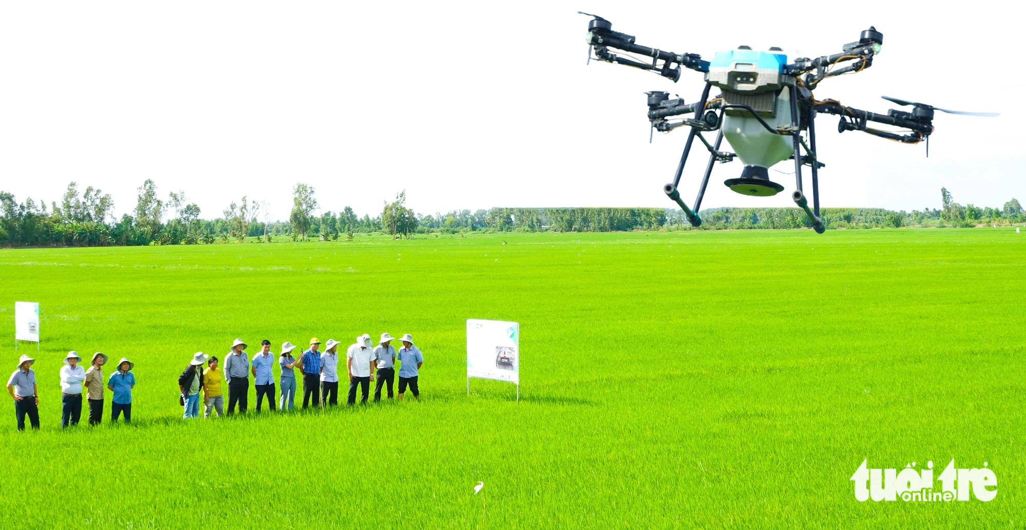 A farming drone flies above rice fields in the Mekong Delta region, southern Vietnam. Photo: Chi Cong / Tuoi Tre