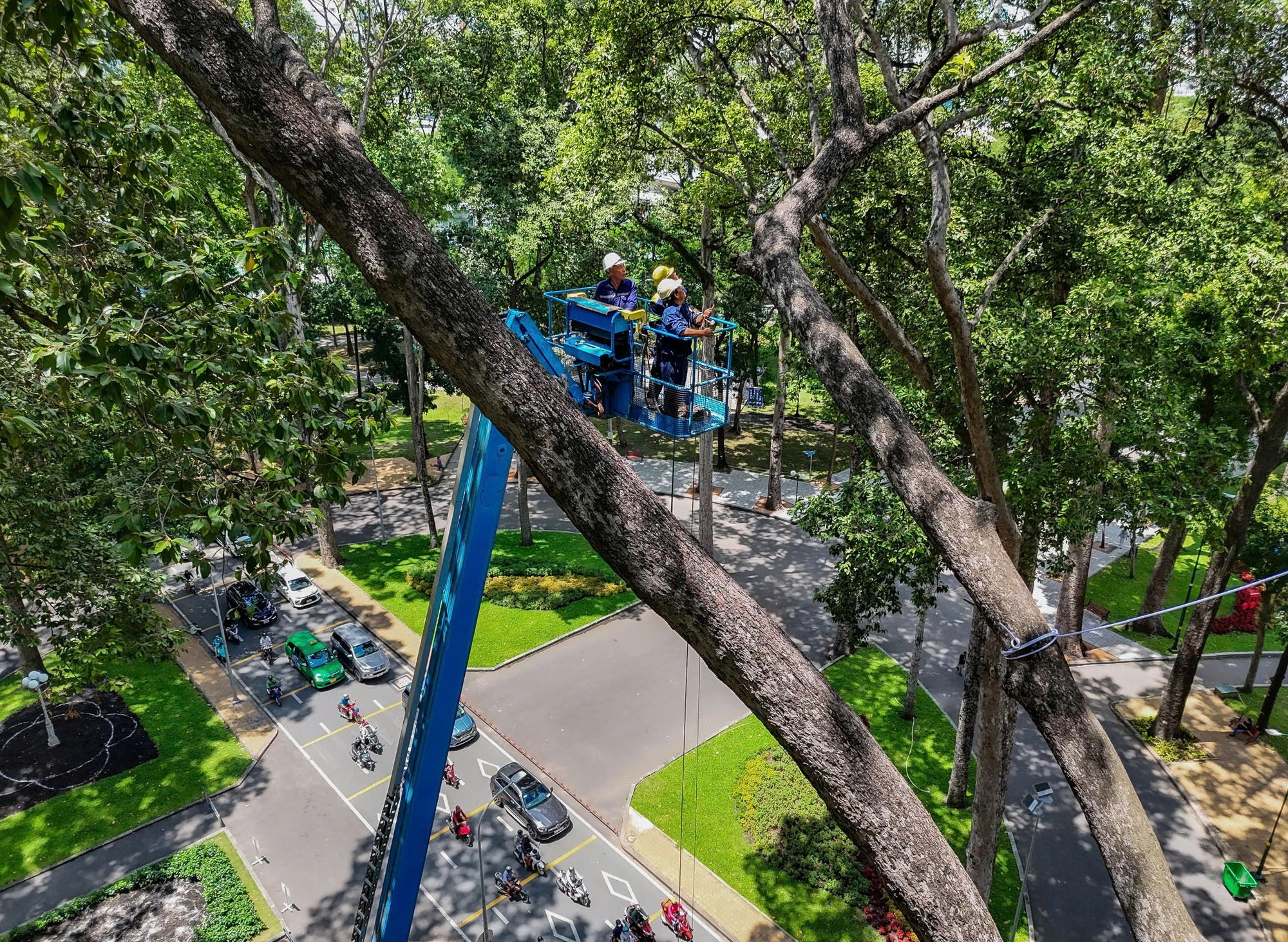 Nearly 2,500 damaged trees felled in Ho Chi Minh City in January-July