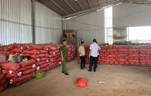 The police found many bags of Chinese potatoes covered with Da Lat’s red dust. Photo: L.A. / Tuoi Tre