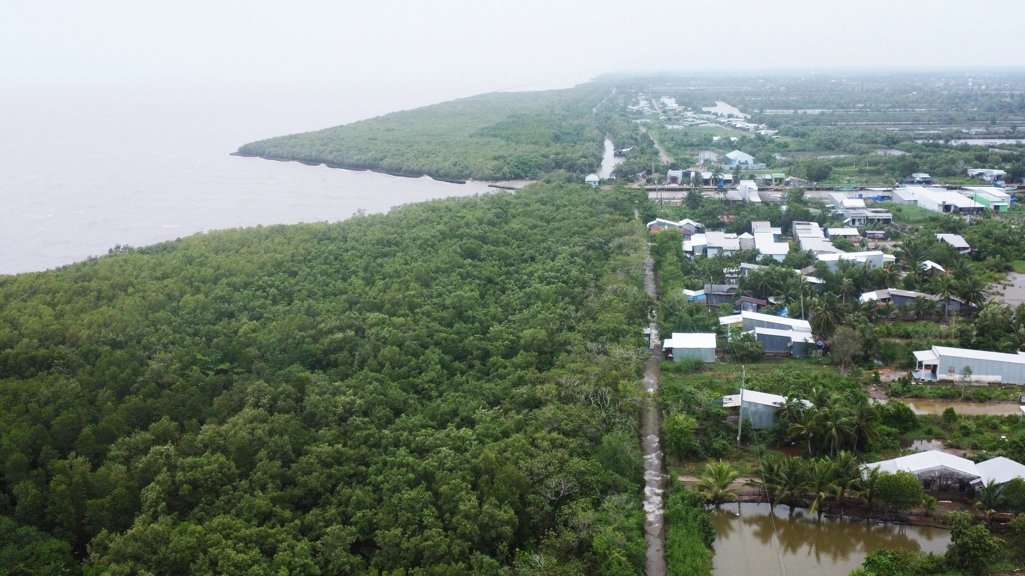 Many parts of a western sea dye system in Ca Mau Province, southern Vietnam are extremely vulnerable to wave impacts. Photo: Thanh Huyen / Tuoi Tre