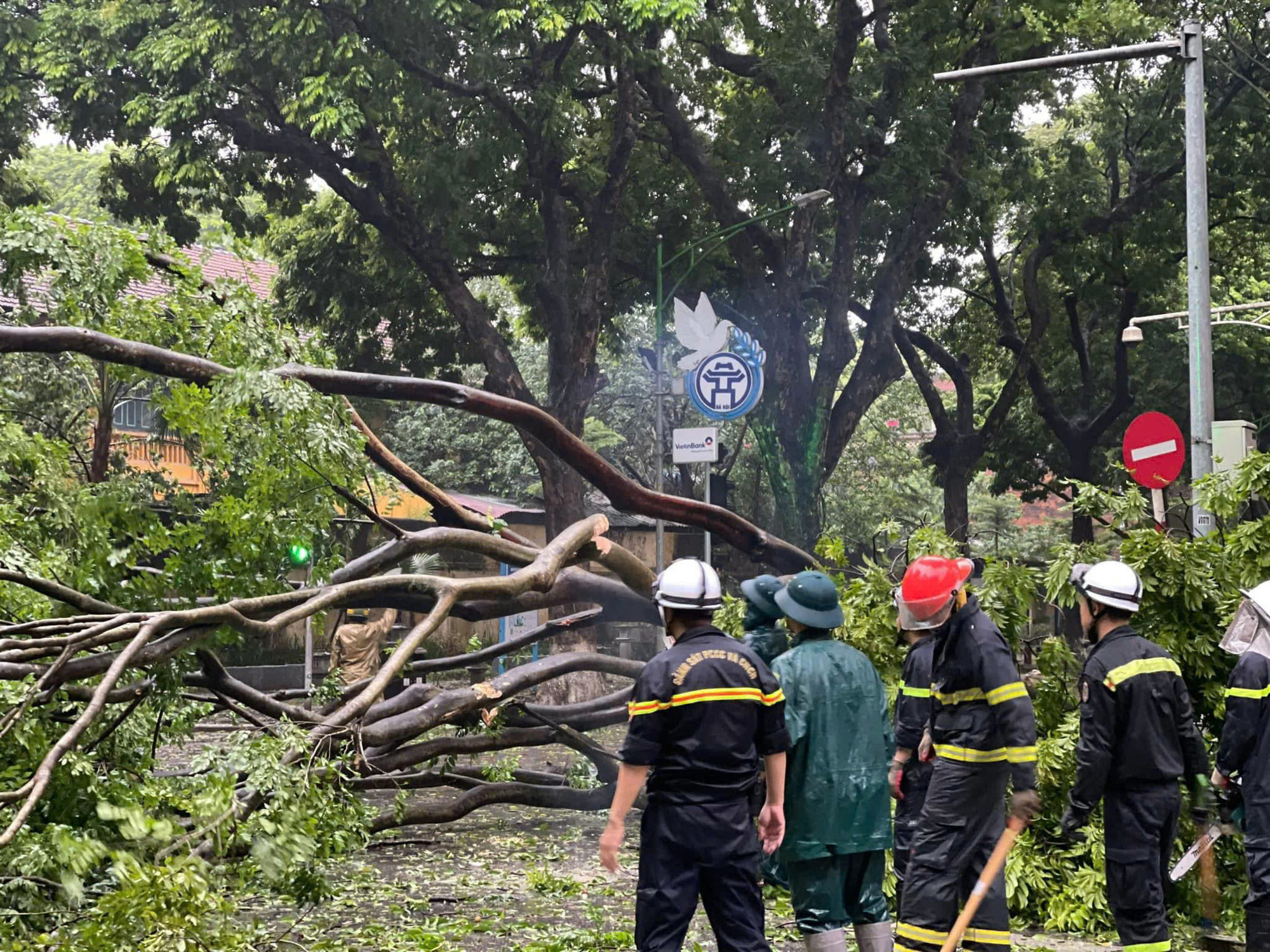 Trees fall in Ba Dinh District, Hanoi as super typhoon Yagi makes landfall in northern Vietnam, September 7, 2024. Photo: Supplied