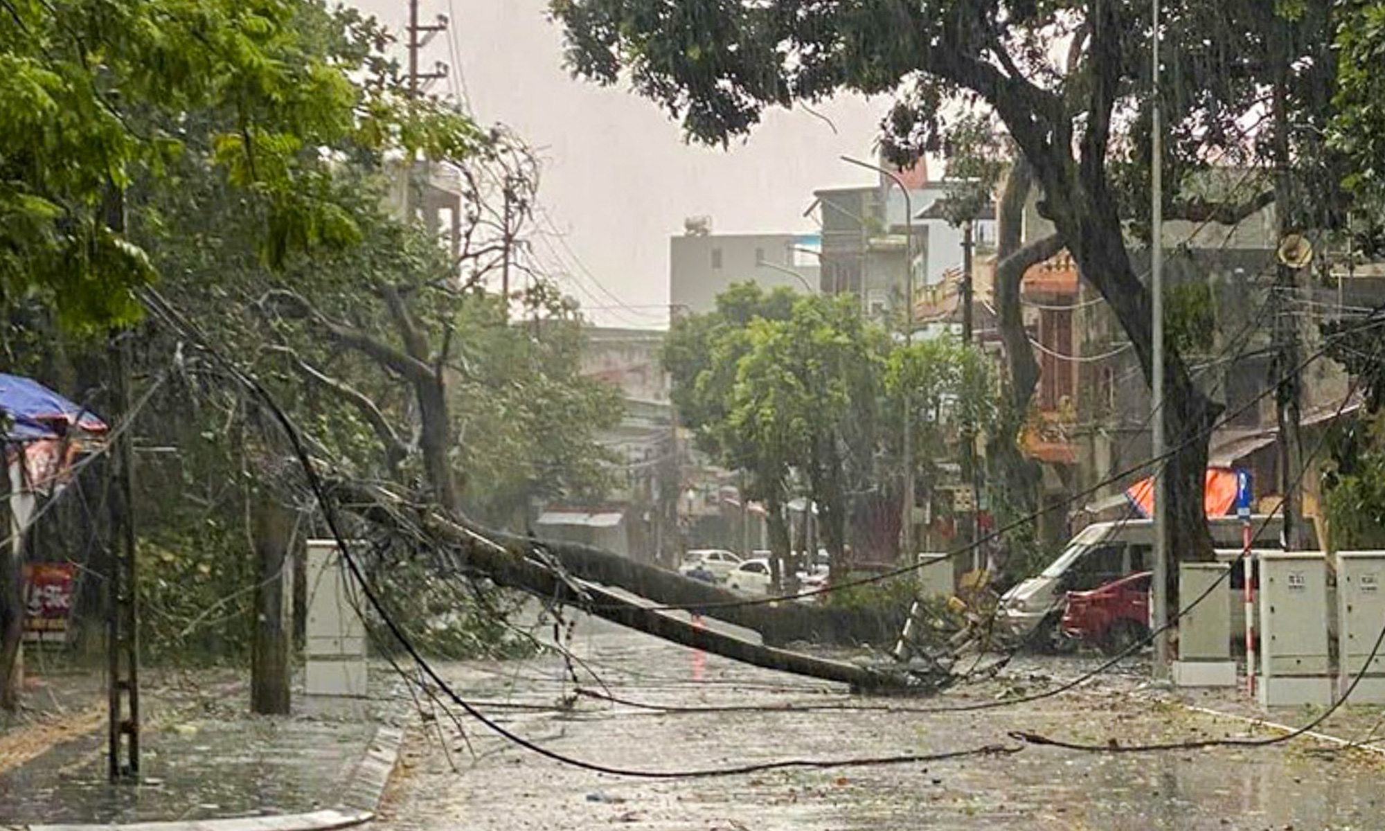 Trees and electric poles fall in Bac Giang City, Bac Giang Province as super typhoon Yagi makes landfall in northern Vietnam, September 7, 2024. Photo: Hoai Thu / Tuoi Tre