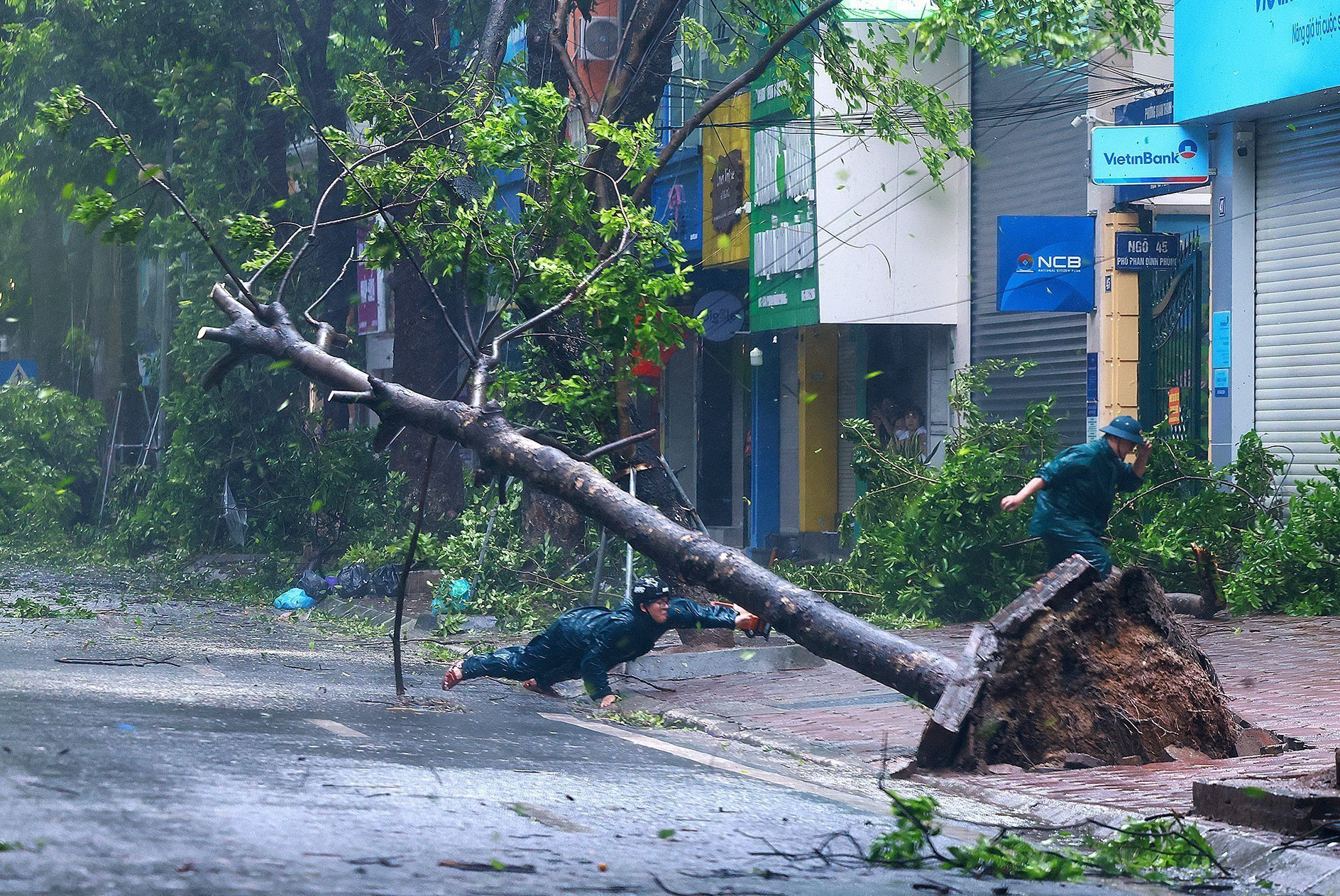 A tree is uprooted on Phan Dinh Phung Street in Hanoi as super typhoon Yagi makes landfall in northern Vietnam, September 7, 2024. Photo: Vietnam News Agency