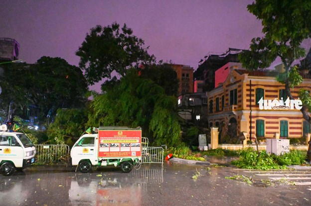 A tree was uprooted on Hang Bai Street in Hanoi. Photo: Hong Quang / Tuoi Tre