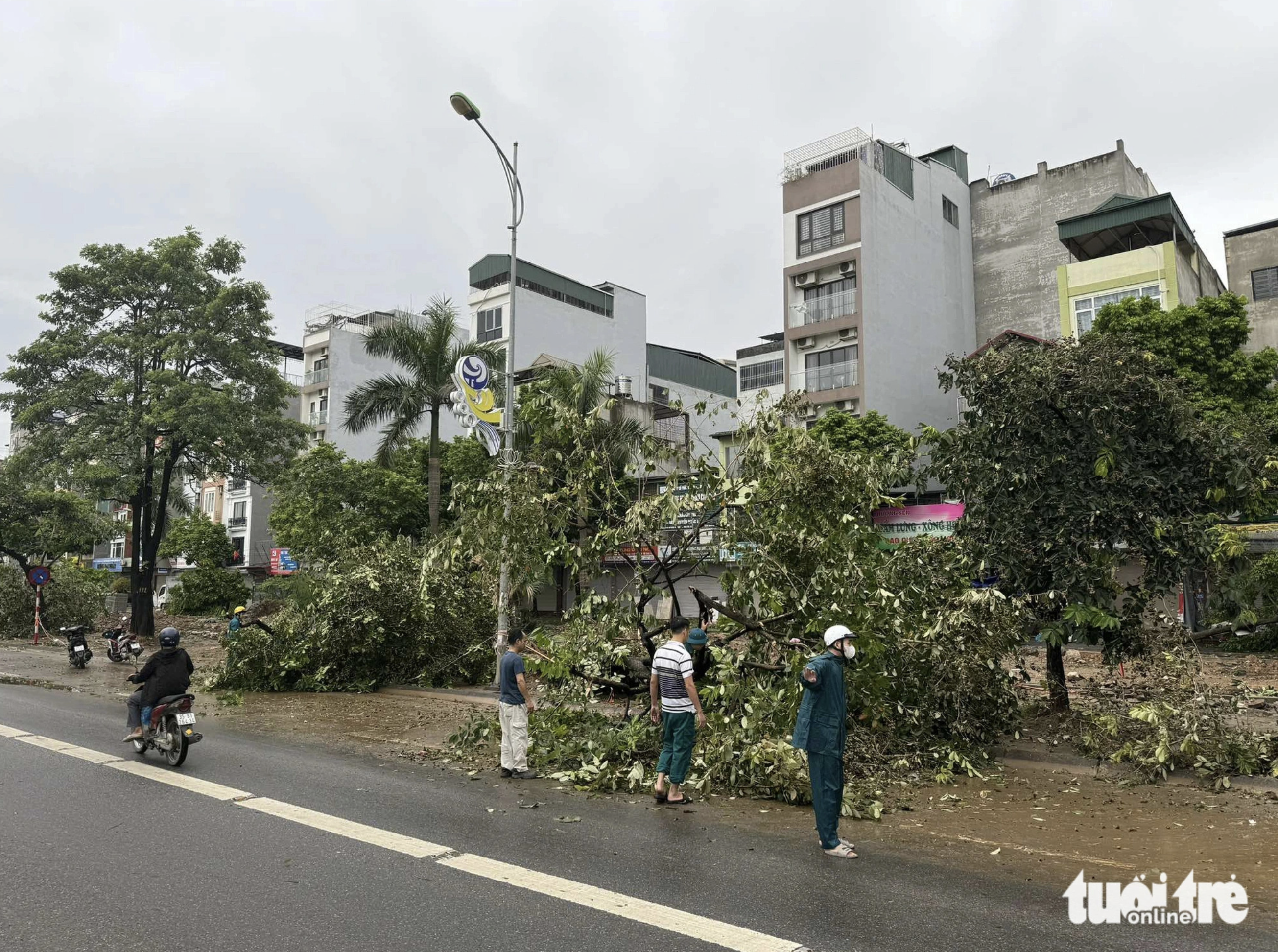 Competent forces were sent to several streets in Hanoi to clear fallen trees. Photo: Thanh Chung / Tuoi Tre