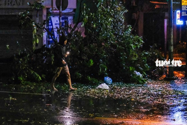 Trees are uprooted on Pham Ngoc Thach Street in Hanoi. Photo: Ha Quan / Tuoi Tre