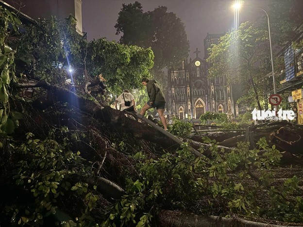 Three foreigners climb onto a fallen tree on Nha Tho Street in Hoan Kiem District, Hanoi to pose for photos. Along the street, three large trees fell across the street. Photo: Duy Linh / Tuoi Tre