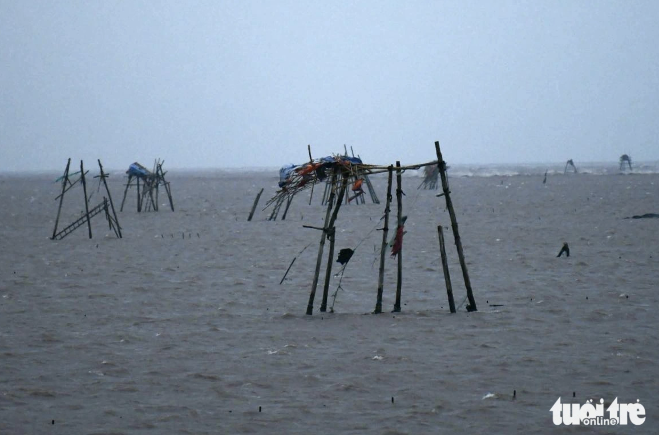 Hundreds of floating cages to raise clams in Thai Binh Province blown away by strong winds. Photo: Nam Tran / Tuoi Tre