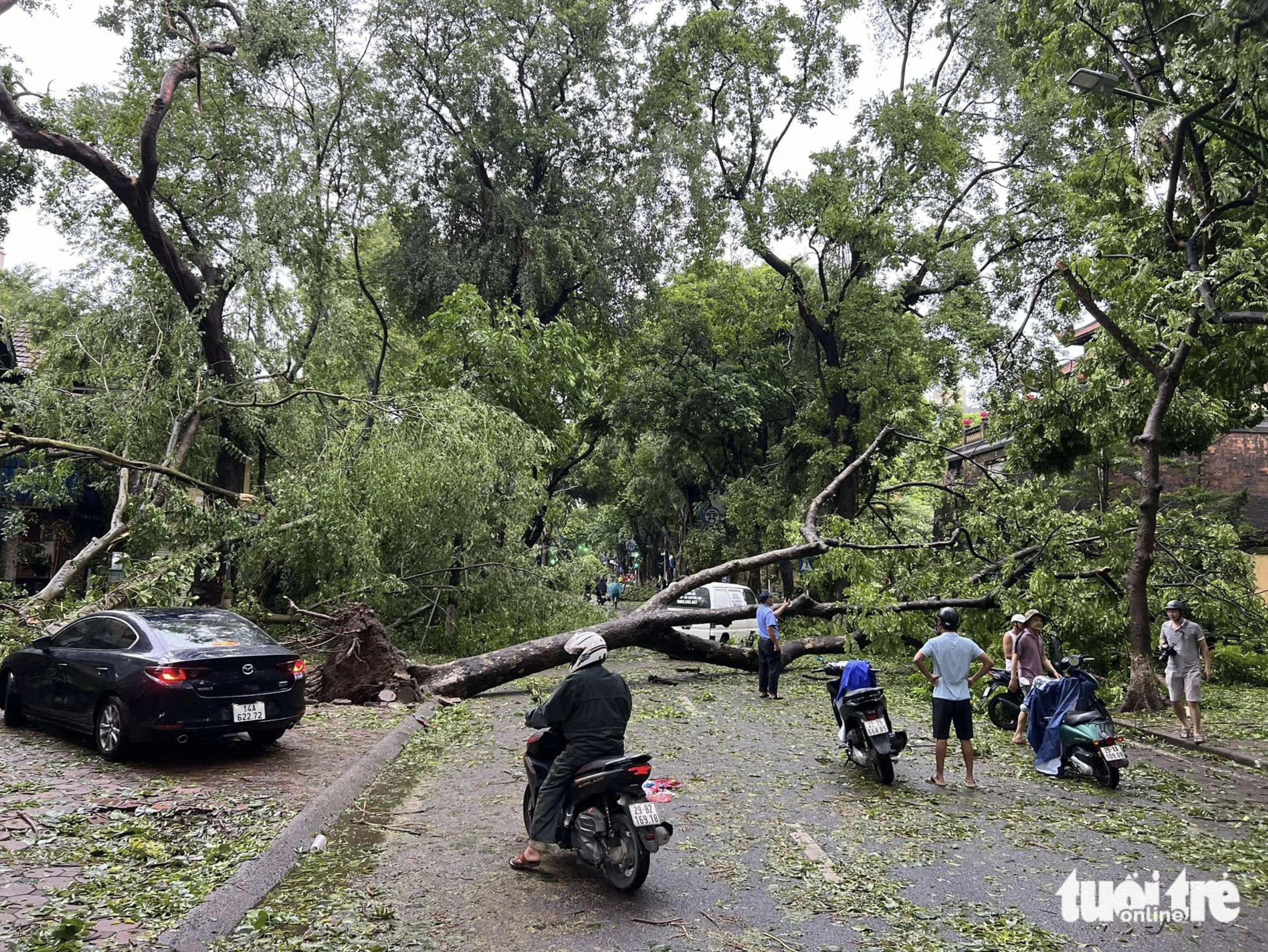 A falling tree blocks Phan Dinh Phung Street in Hanoi. Photo: Pham Tuan / Tuoi Tre