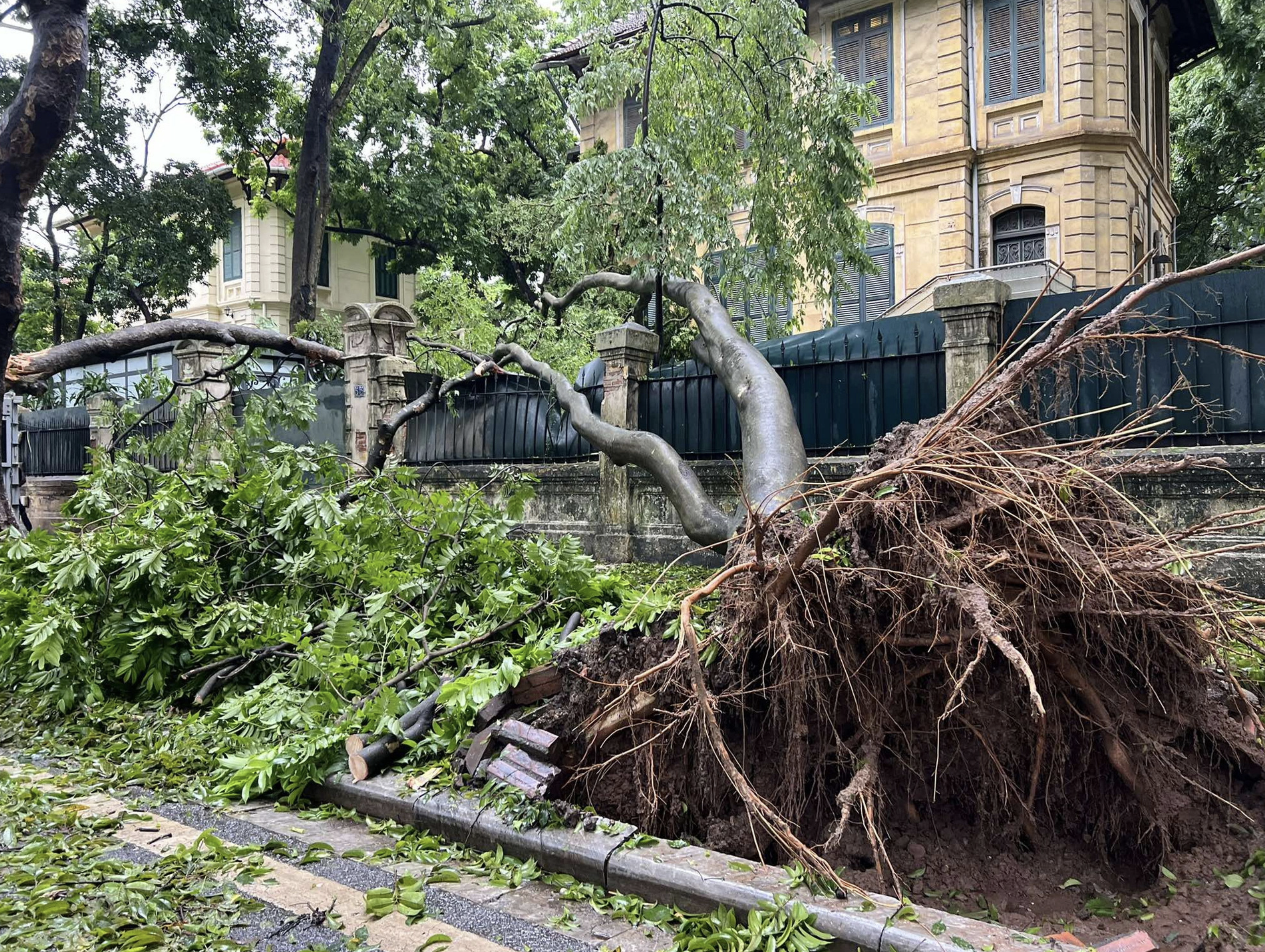 A tree falls on a fence of a villa on Phan Dinh Phung Street, Hanoi. Photo: Pham Tuan / Tuoi Tre