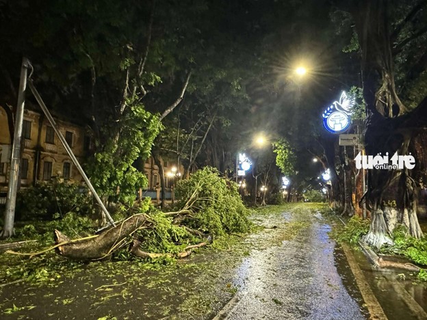 Trees along Phan Dinh Phung Street were uprooted by the storm and tumbled onto the road. Photo: Duy Linh / Tuoi Tre