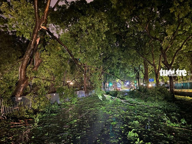 Phan Dinh Phung Street, among the most beautiful streets in Hanoi, is devastated after typhoon Yagi strikes the capital city. Photo: Duy Linh / Tuoi Tre