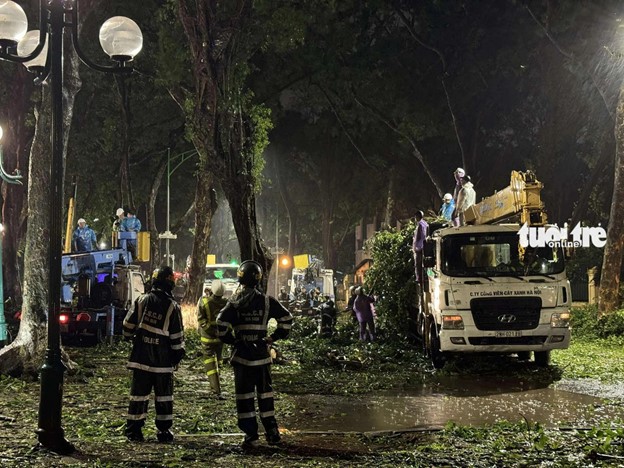 Workers tidy up tree branches on Phan Dinh Phung Street in Hanoi. Photo: Duy Linh / Tuoi Tre