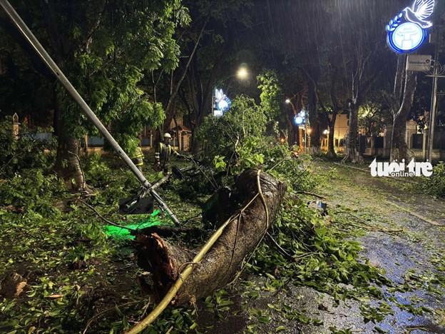 A large tree branch lies across Phan Dinh Phung Street in Hanoi. Photo: Duy Linh / Tuoi Tre