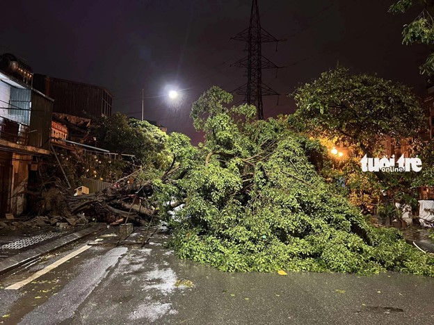 Fallen trees hinder vehicles from passing through Kim Nguu Street in Hanoi. Photo: Hong Quang / Tuoi Tre