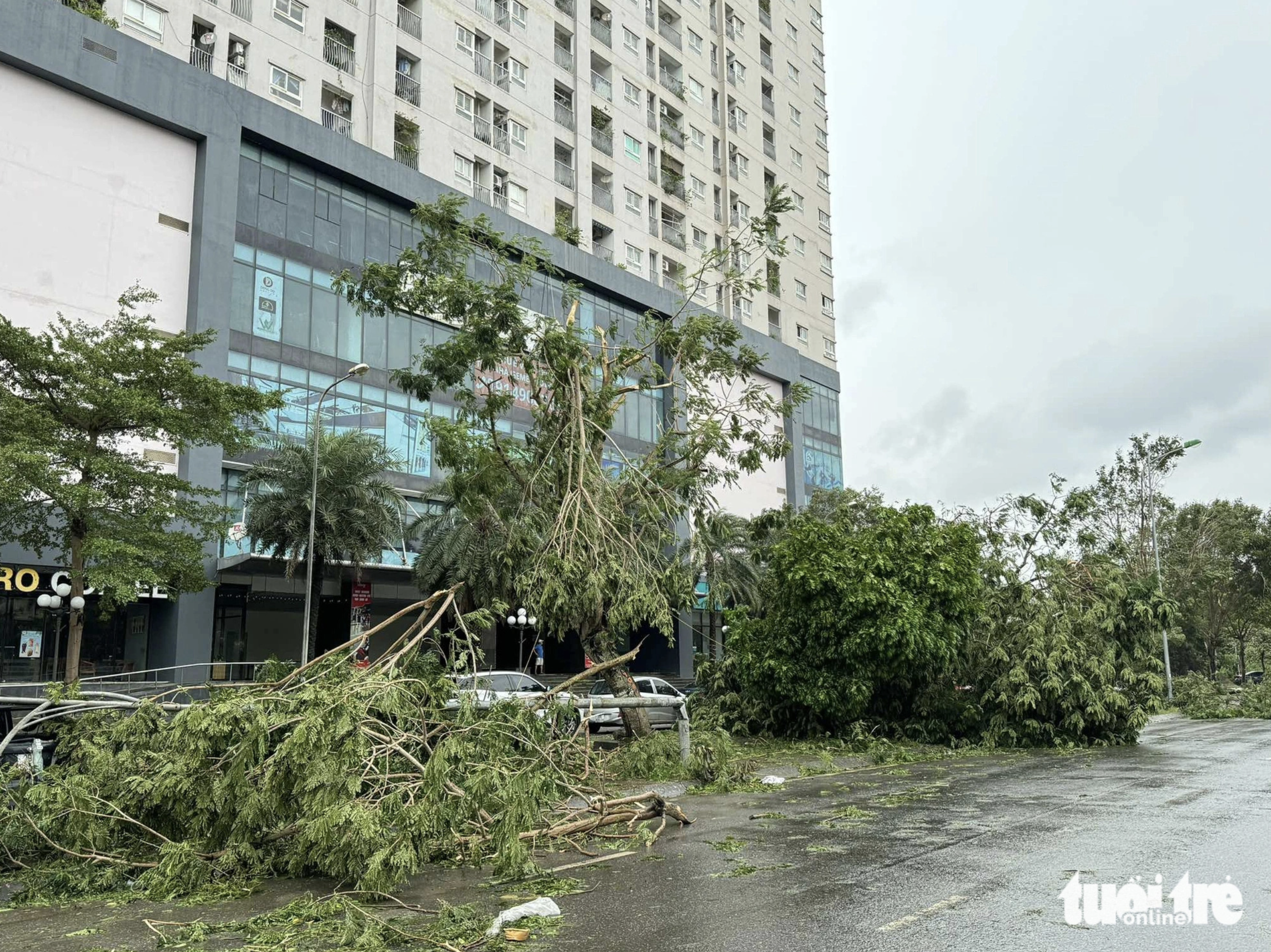 The front of an apartment building in Hanoi is in a mess with fallen trees. Photo: Thanh Chung / Tuoi Tre