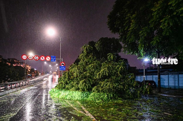 A fallen large tree is seen on Tran Khat Chan Street in Hanoi. Photo: Hong Quang / Tuoi Tre