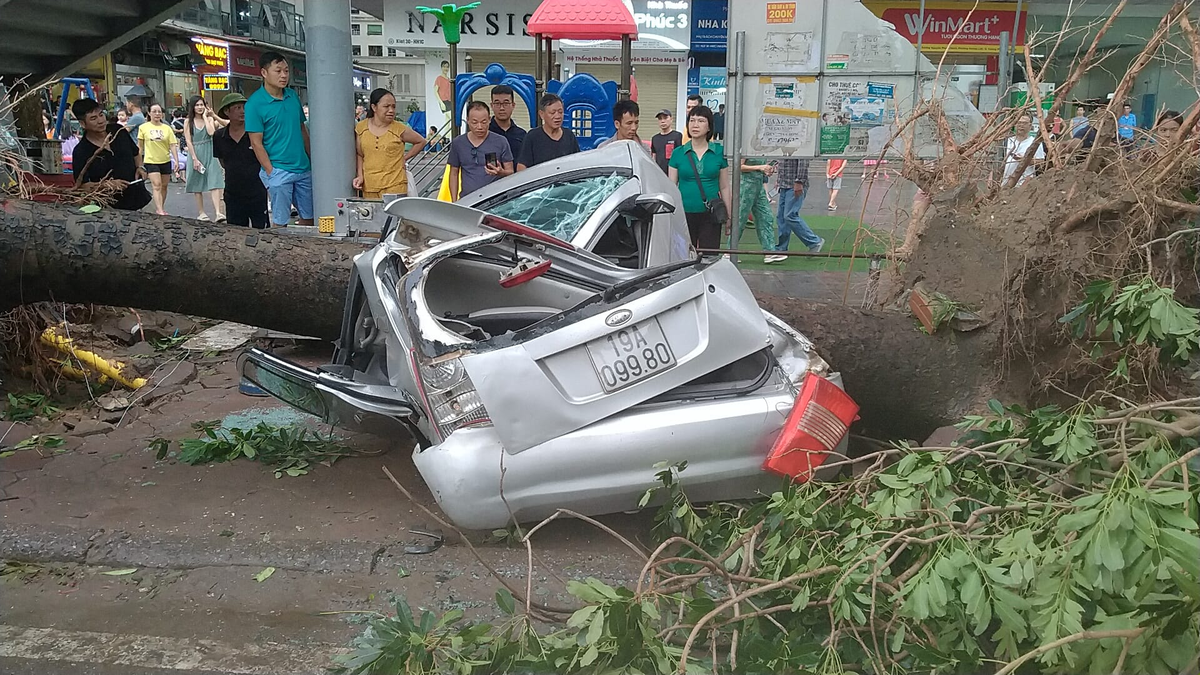 A car is hard hit by a falling tree on a street in Hoang Mai District, Hanoi, September 7, 2024, when super typhoon Yagi was sweeping through the city. Photo: Danh Khang / Tuoi Tre