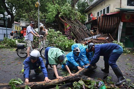 People tidy up tree branches on Hang Dau Street in Hoan Kiem District, Hanoi on September 8, 2024. Photo: Vietnam News Agency