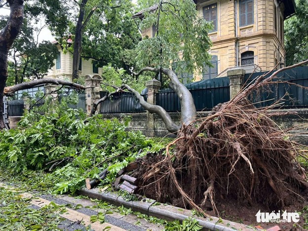 Typhoon Yagi kills 14, injures 167 in Vietnam