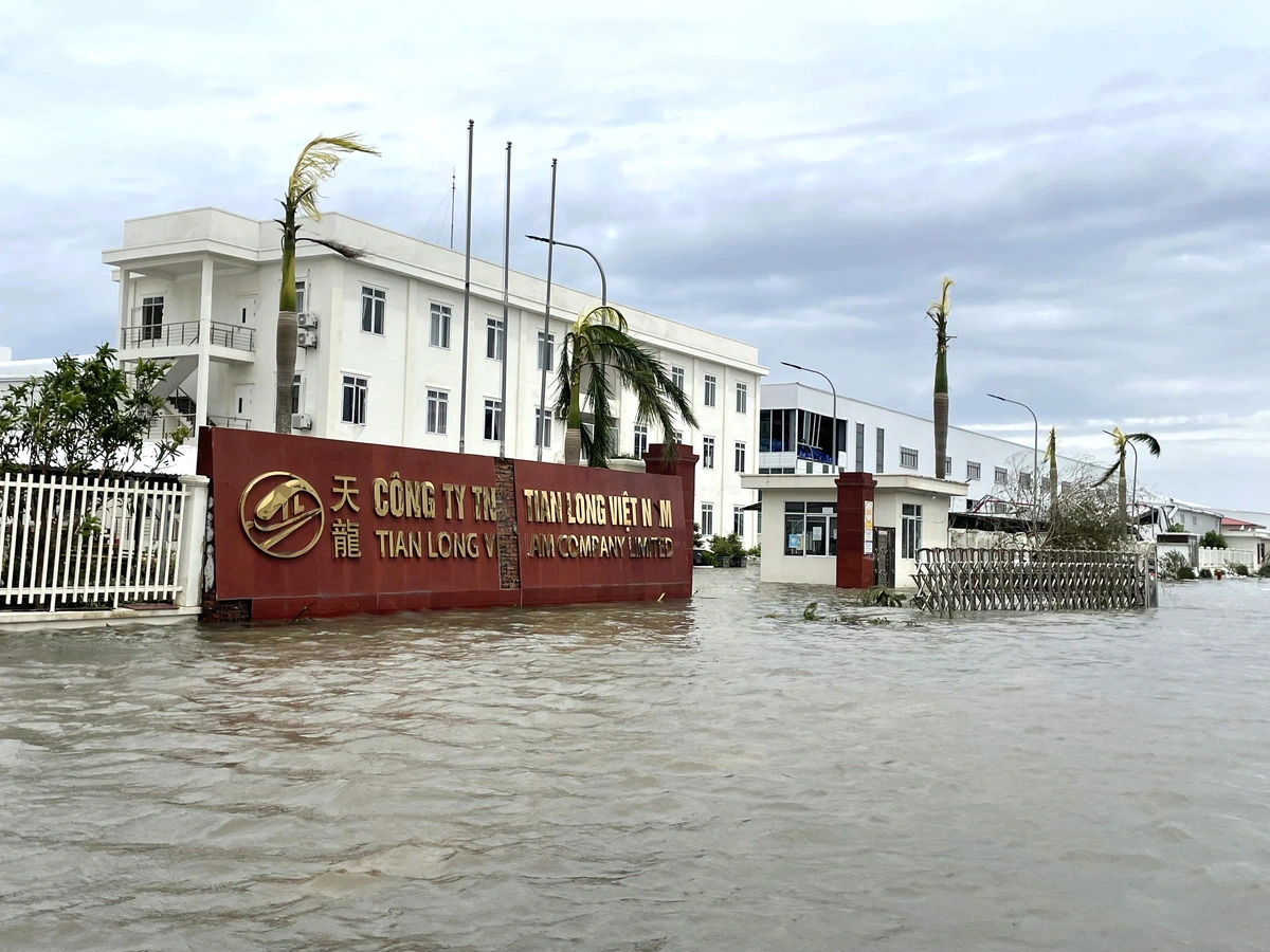 Hai Phong City has yet to calculate the specific losses of factories caused by typhoon Yagi. Photo: B.Ngoc / Tuoi Tre