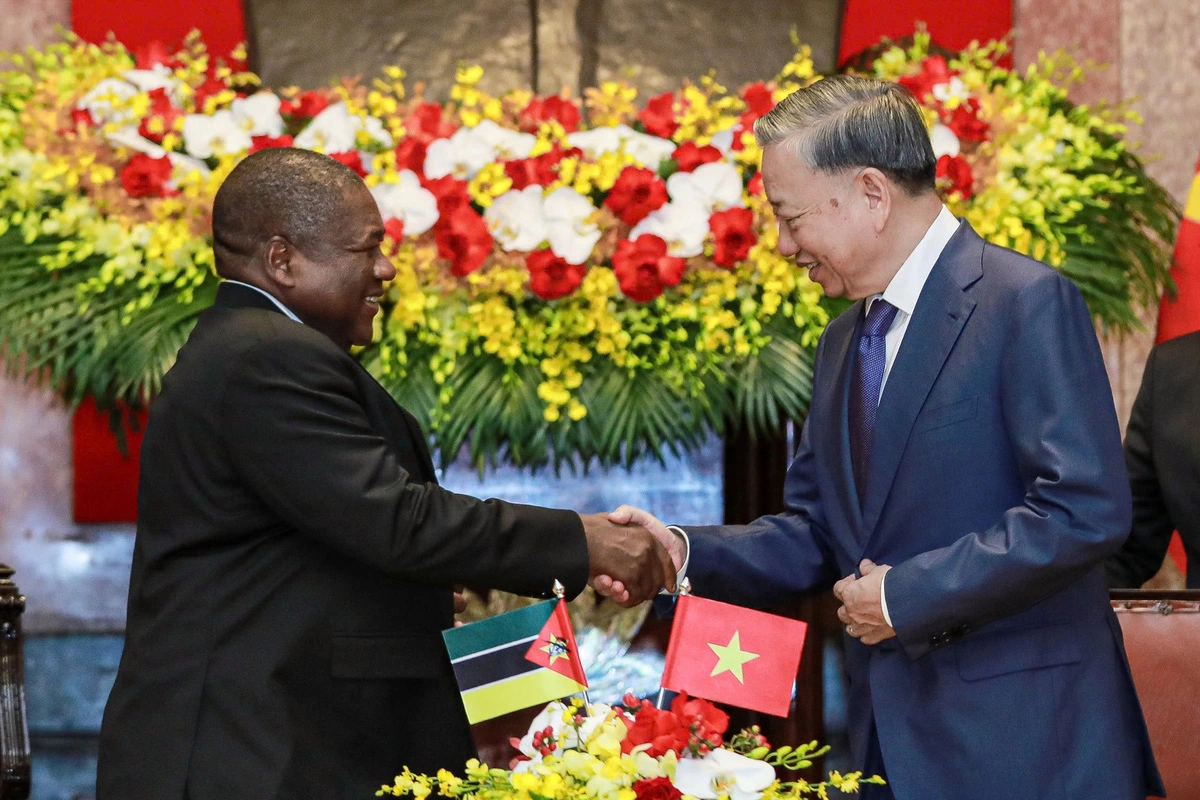 Mozambique seeks Vietnam’s support in agriculture