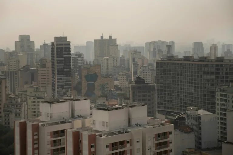 Smoke from Brazil fires clouds major cities, neighboring countries