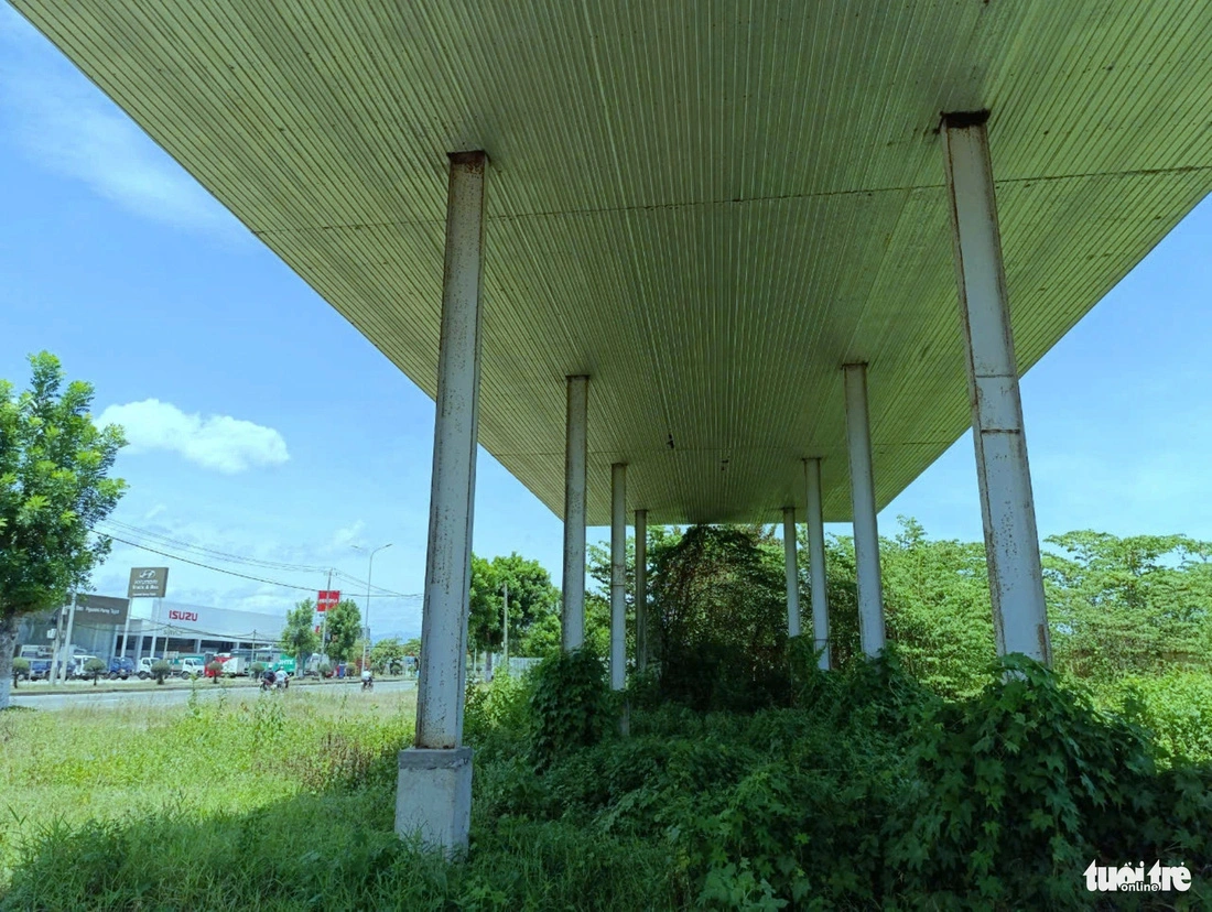 The entrance of the Southern Intercity Bus Terminal is overgrown with wild grass along National Highway 1 in Da Nang, central Vietnam. Photo: Doan Cuong / Tuoi Tre