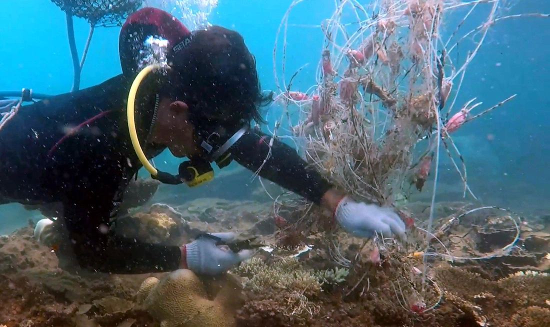 A scuba diver uses scissors to remove a fishing net from a coral reef off Con Dao Island, Ba Ria - Vung Tau Province. Photo: Supplied