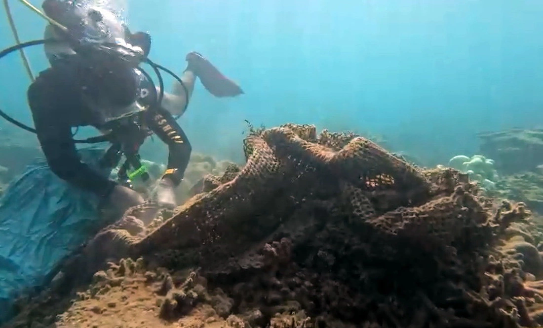 A fishing net covers a coral reef off Con Dao Island, Ba Ria - Vung Tau Province. Photo: Supplied