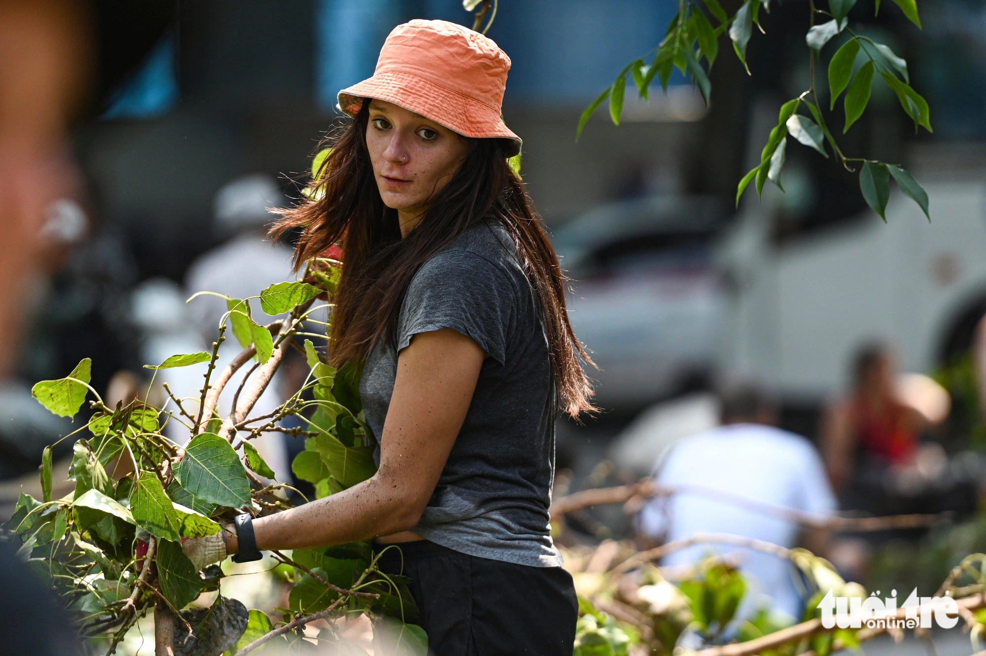 A foreigner helps clear fallen tree branches on the street in Hoan Kiem District, Hanoi, September 14, 2024. Photo: Hong Quang / Tuoi Tre