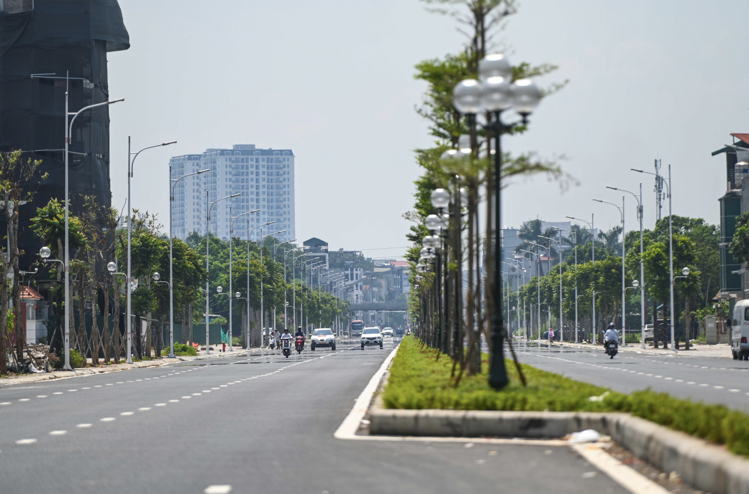 Trees are planted in the median strip of a road connecting Nguyen Van Cu Street with Ngoc Thuy Dyke in Long Bien District, Hanoi. Photo: Hong Quang / Tuoi Tre