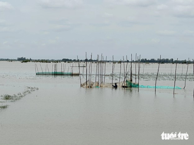 Vietnam's Mekong Delta to experience early flooding: expert