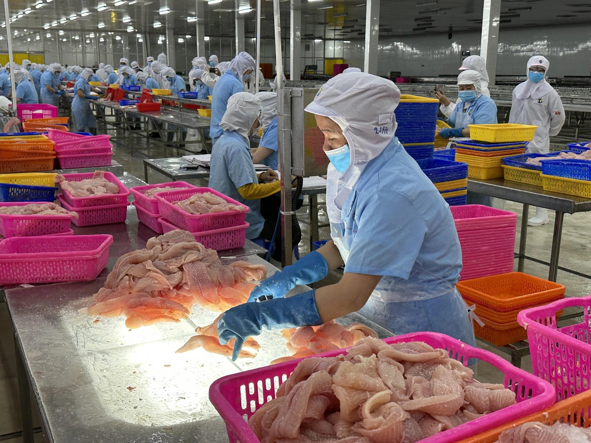 8 Vietnamese pangasius fish exporters exempt from US anti-dumping tax