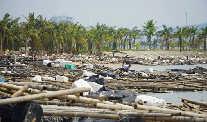 Volunteers clean beach in Vietnam’s Ha Long post-Yagi