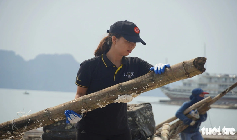 Volunteers tidy up broken components of floating cages on Tuan Chau island in Ha Long City, Quang Ninh Province. Photo: Ngoc An / Tuoi Tre