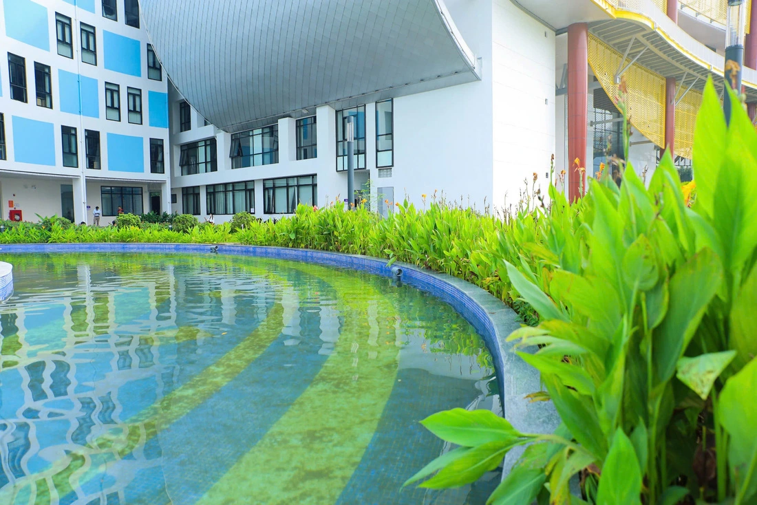 The Hanoi Children's Palace has many trees. Photo: Quang Vien / Tuoi Tre