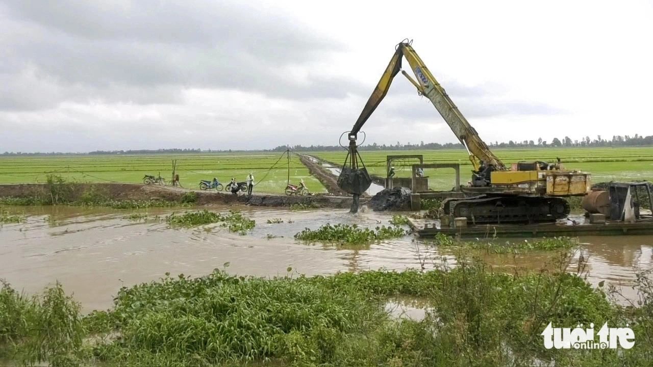 Local farmers use an excavator to reinforce dykes of a rice field in Tam Nong District, Dong Thap Province, southern Vietnam. Photo: Dang Tuyet / Tuoi Tre