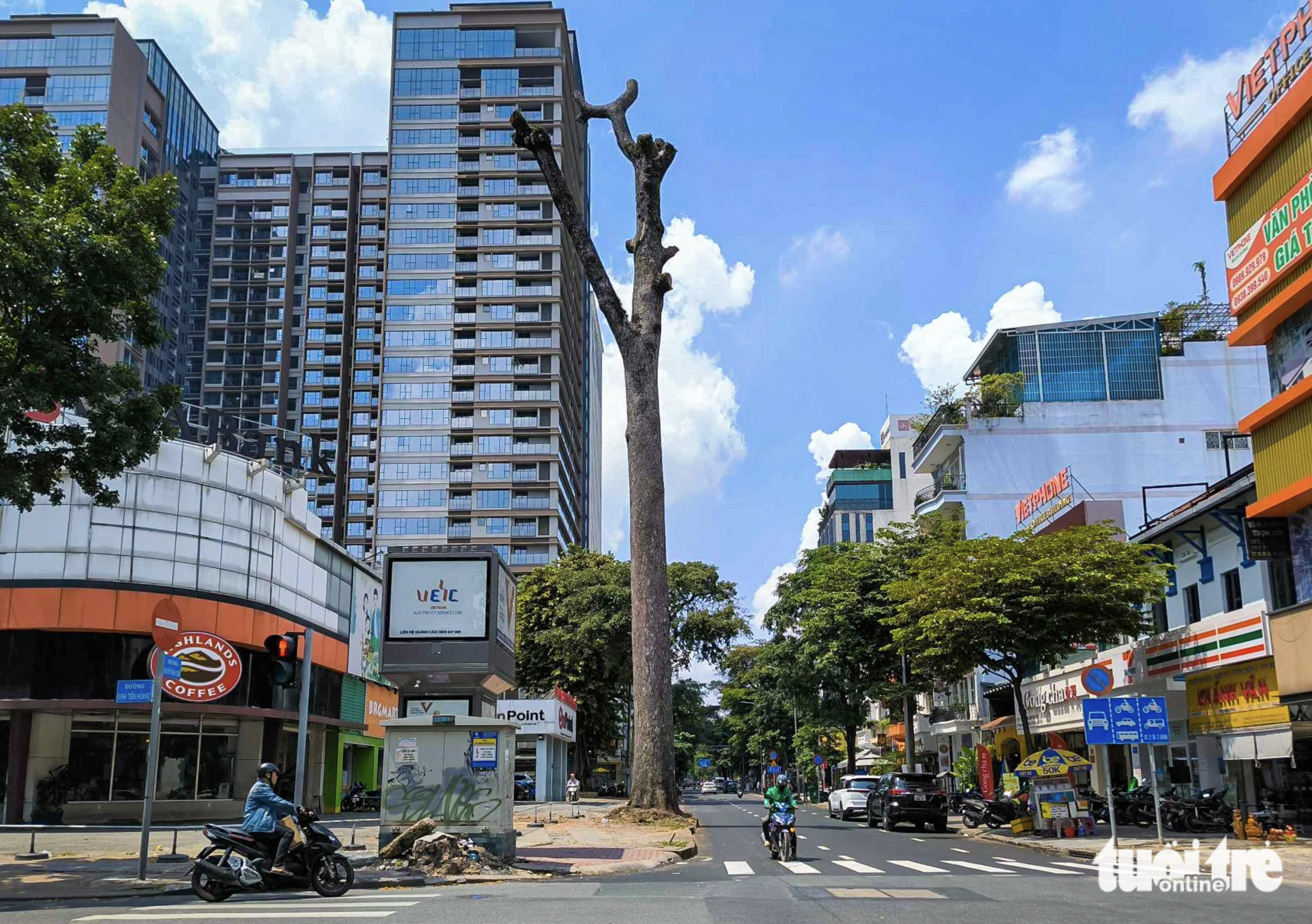 Downtown Ho Chi Minh City sees trees stripped bare