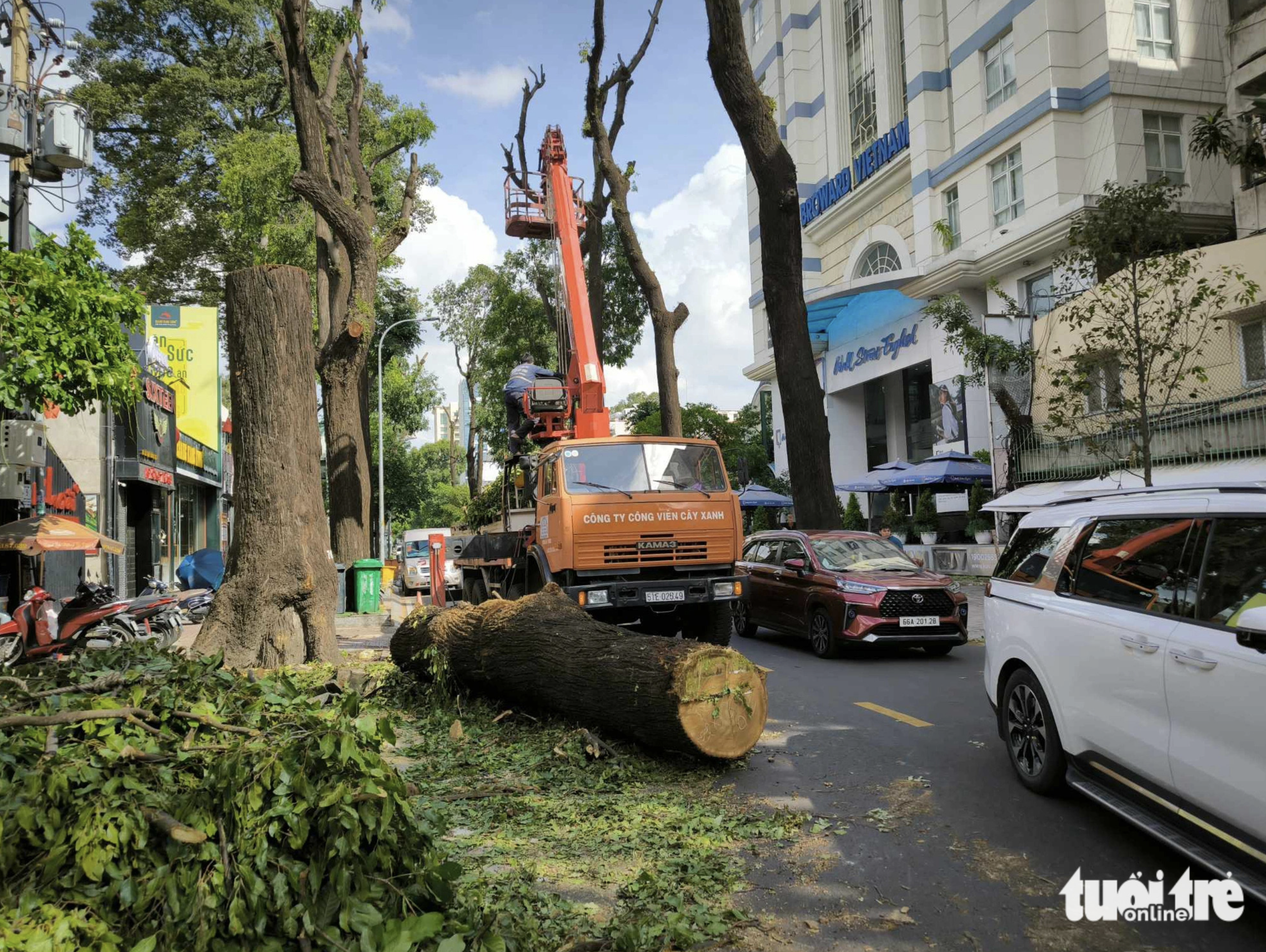 Some decades-old trees cut down on Le Quy Don Street, Ho Chi Minh City