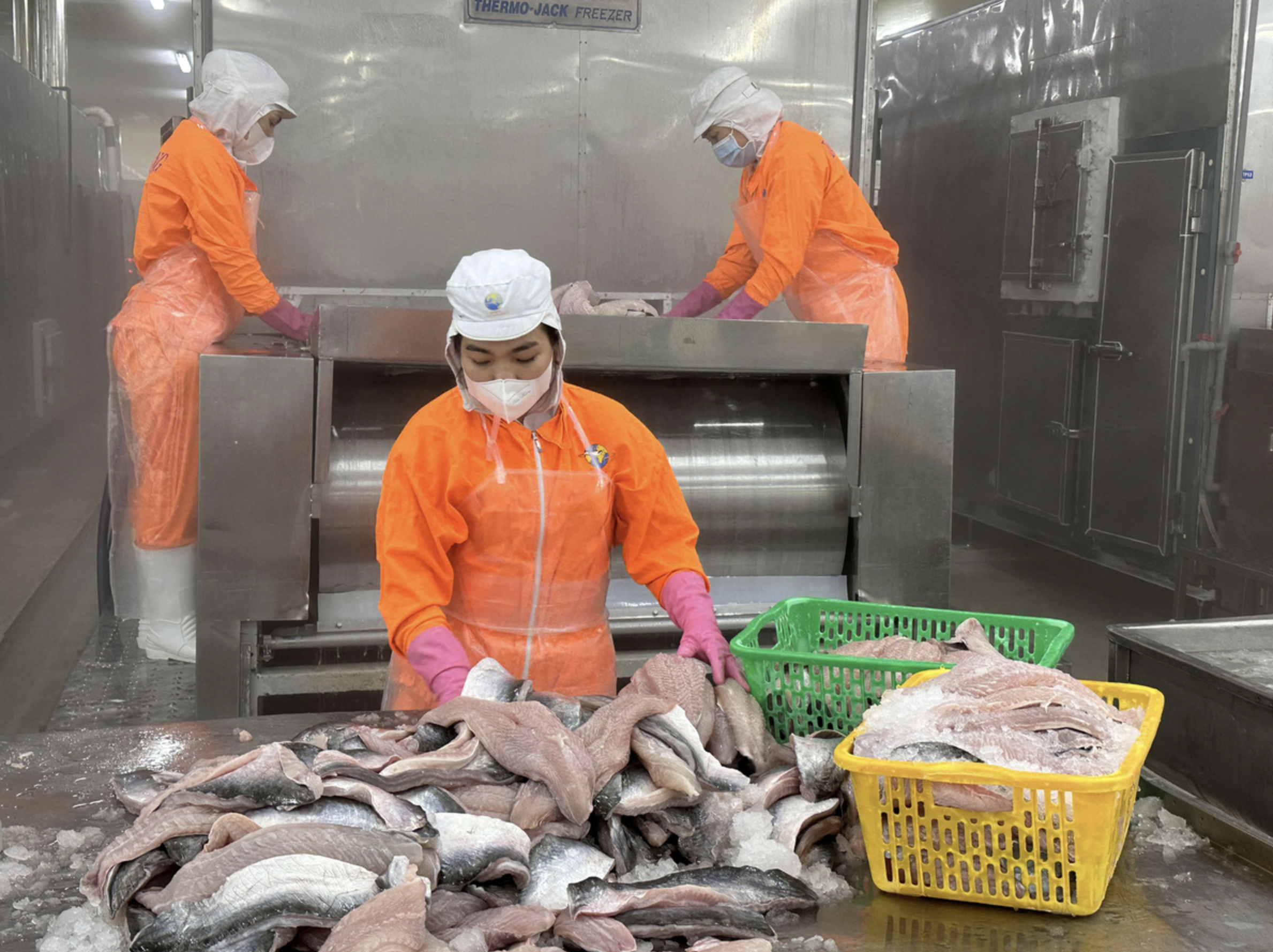 China spends $21mn importing tra fish maws from Vietnam in January-August