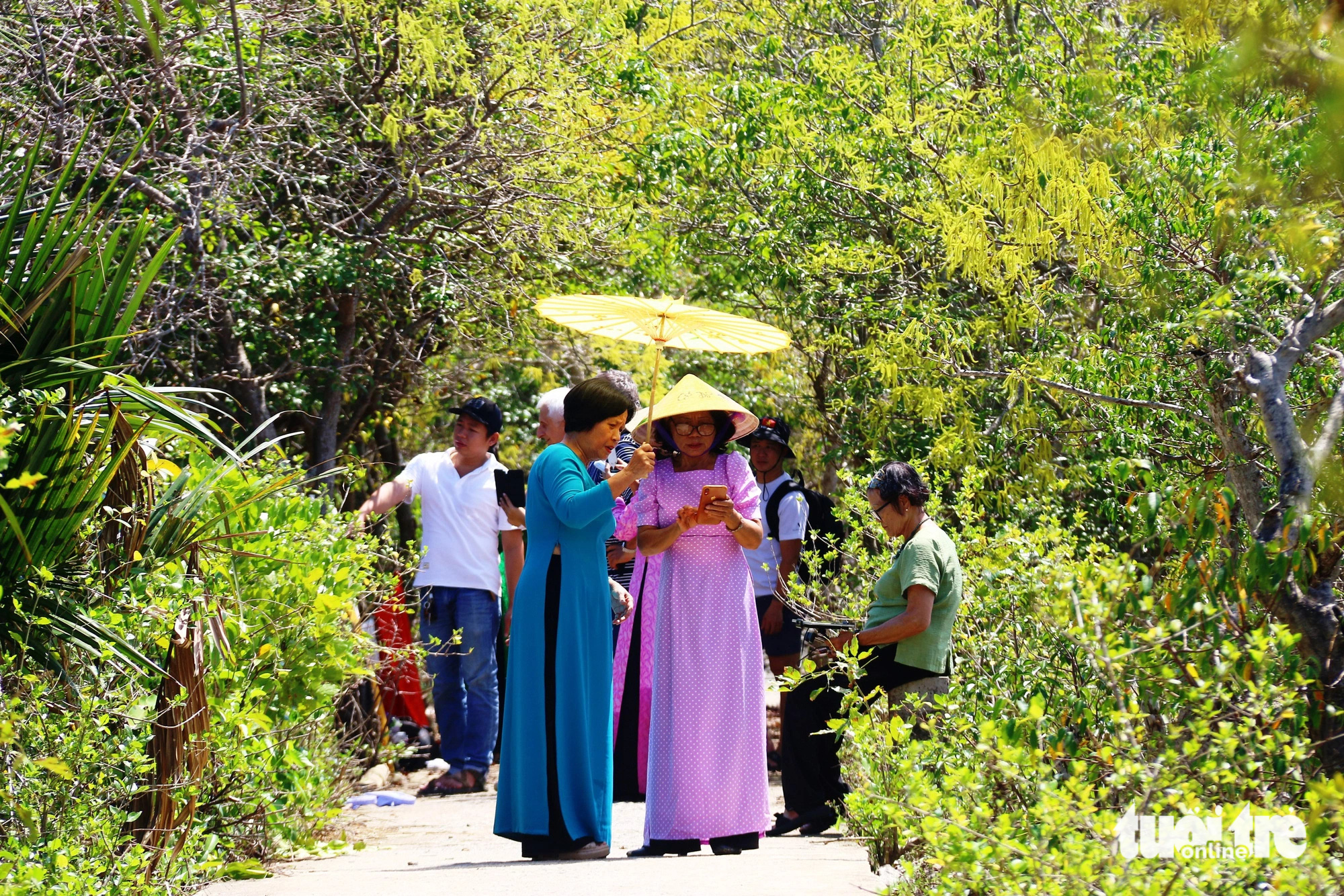 Tourists visit the Ru Cha primeval mangrove forest in the Tam Giang - Cau Hai lagoon, located in Thua Thien-Hue Province in central Vietnam. Photo: Nhat Linh / Tuoi Tre