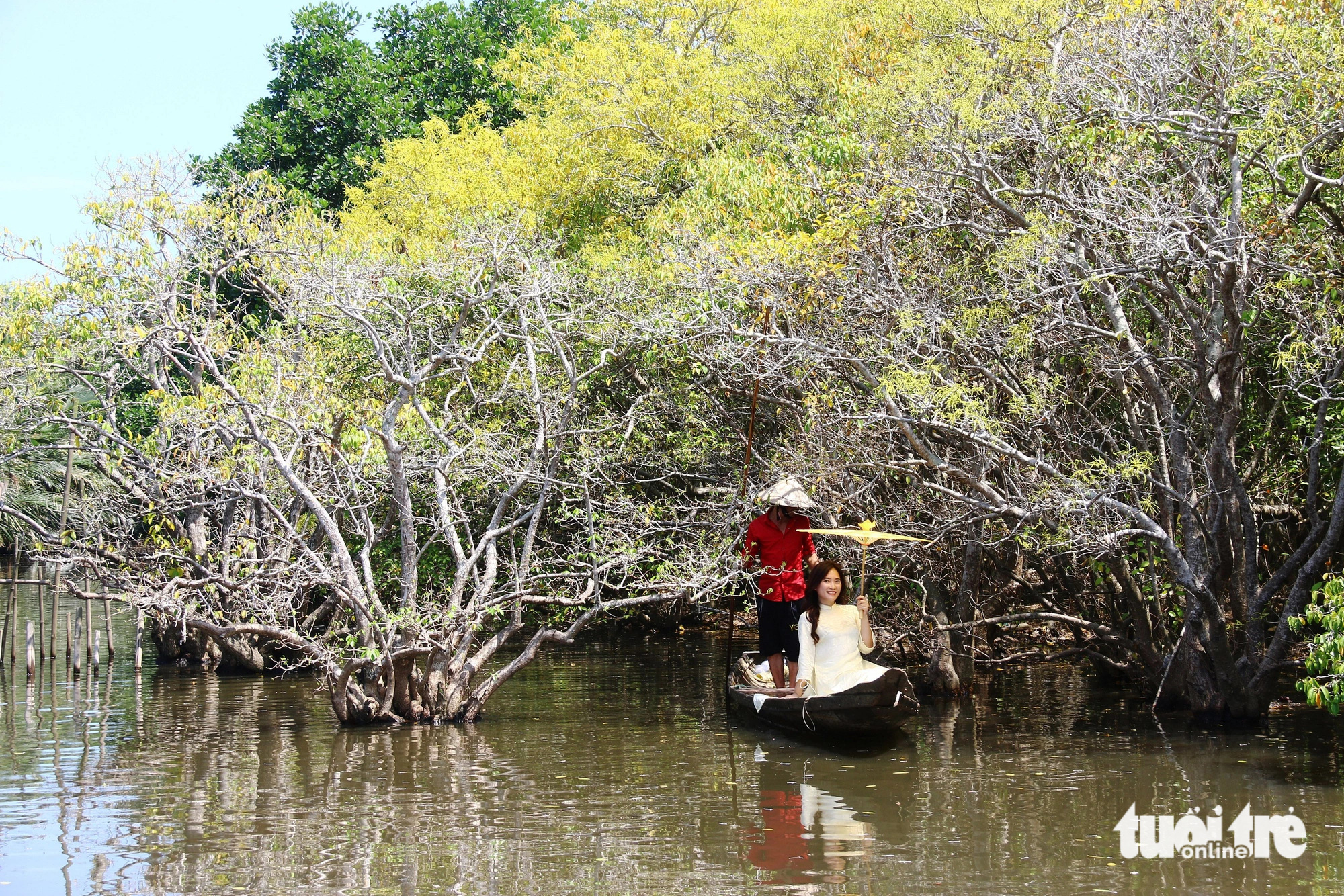 A woman poses for a photo in the Ru Cha primeval mangrove forest in the Tam Giang - Cau Hai lagoon, located in Thua Thien-Hue Province in central Vietnam. Photo: Nhat Linh / Tuoi Tre