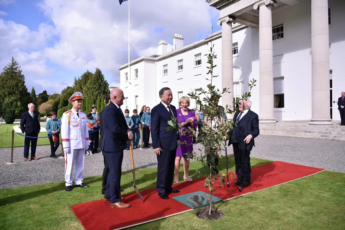 General Secretary and President To Lam plants a souvenir tree at the Irish Presidential Palace in Dublin, Ireland on October 2, 2024. Photo: Nguyen Hong / Tuoi Tre