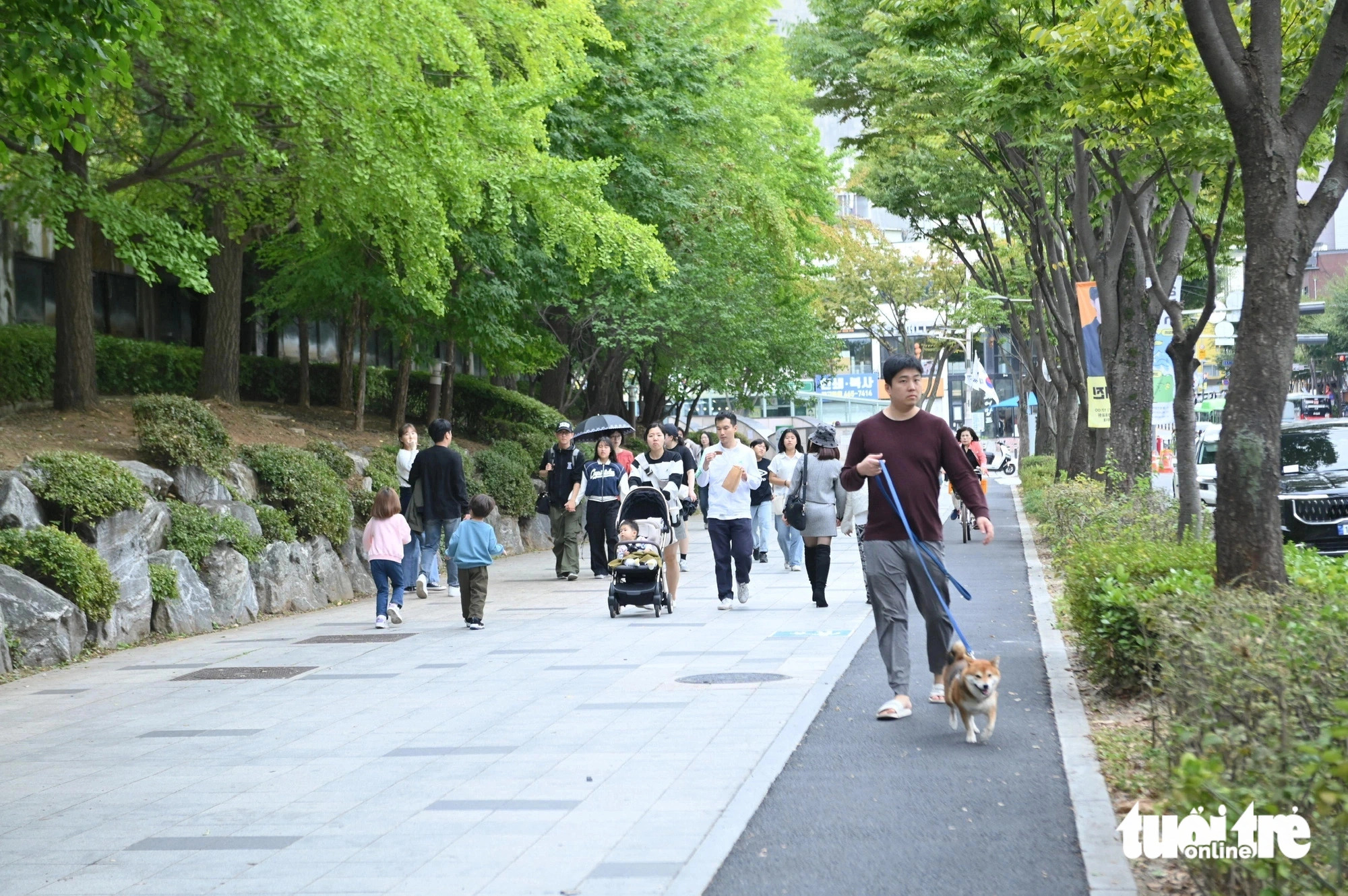 Visitors stroll along a path at Seoul Children's Grand Park in South Korea, where the Vietnam Phở Festival 2024 will be held on October 5 and 6. Photo: Duyen Phan / Tuoi Tre