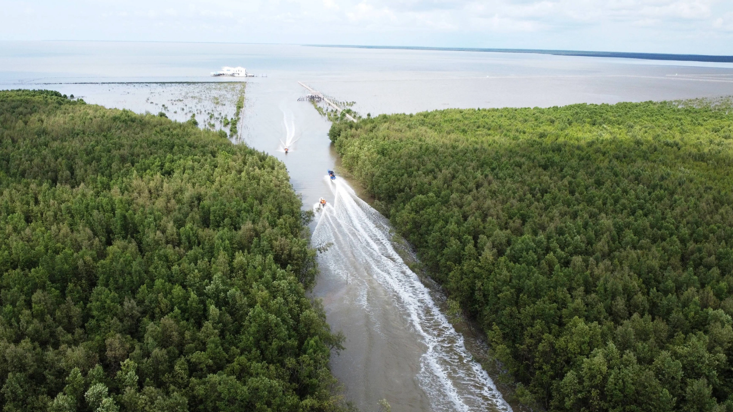 Tourists take a speedboat through the spectacular forests at Mui Ca Mau (Ca Mau Cape) National Park. Photo: Thanh Huyen / Tuoi Tre