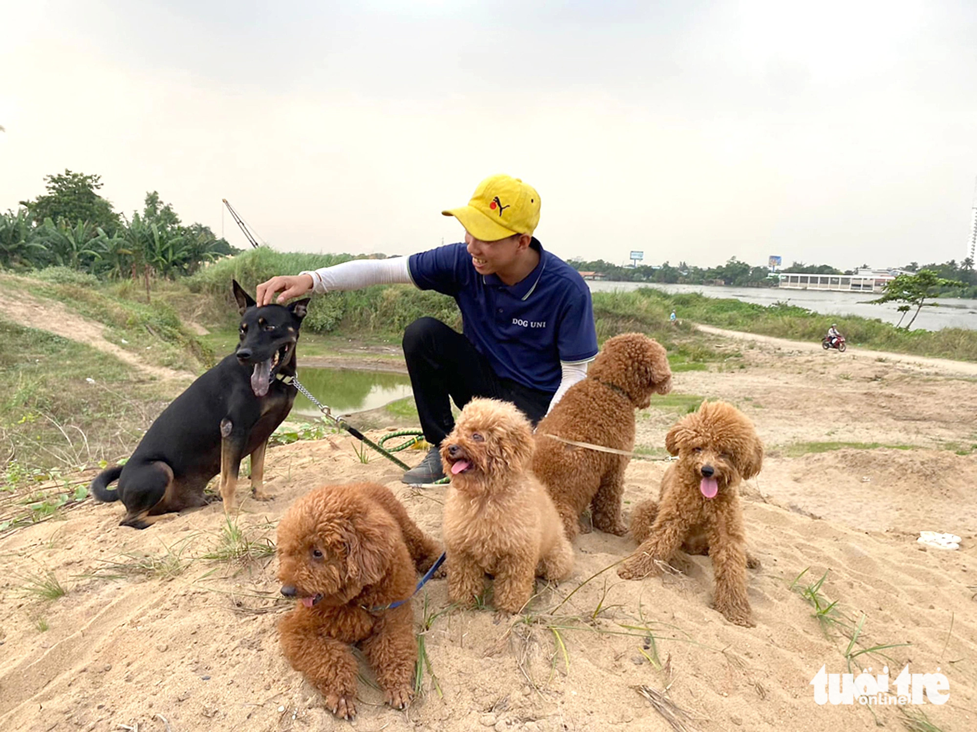 Dogs are taken for walks along the riverbank by a trainer from Dog Uni in District 12, Ho Chi Minh City. Photo: Chung Thanh Huy / Tuoi Tre