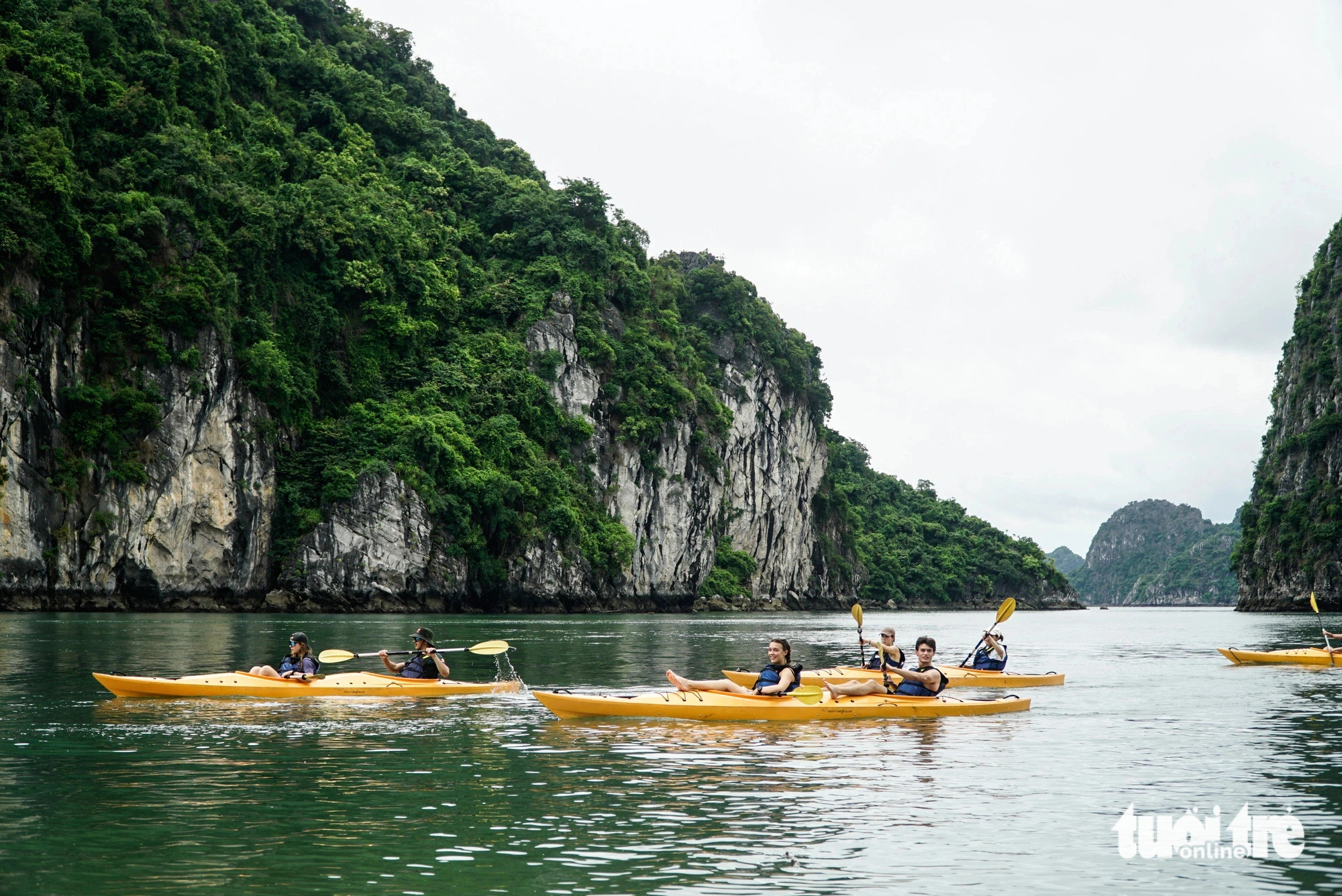 Up to 200 European billionaires to visit Vietnam's Ha Long Bay early next year