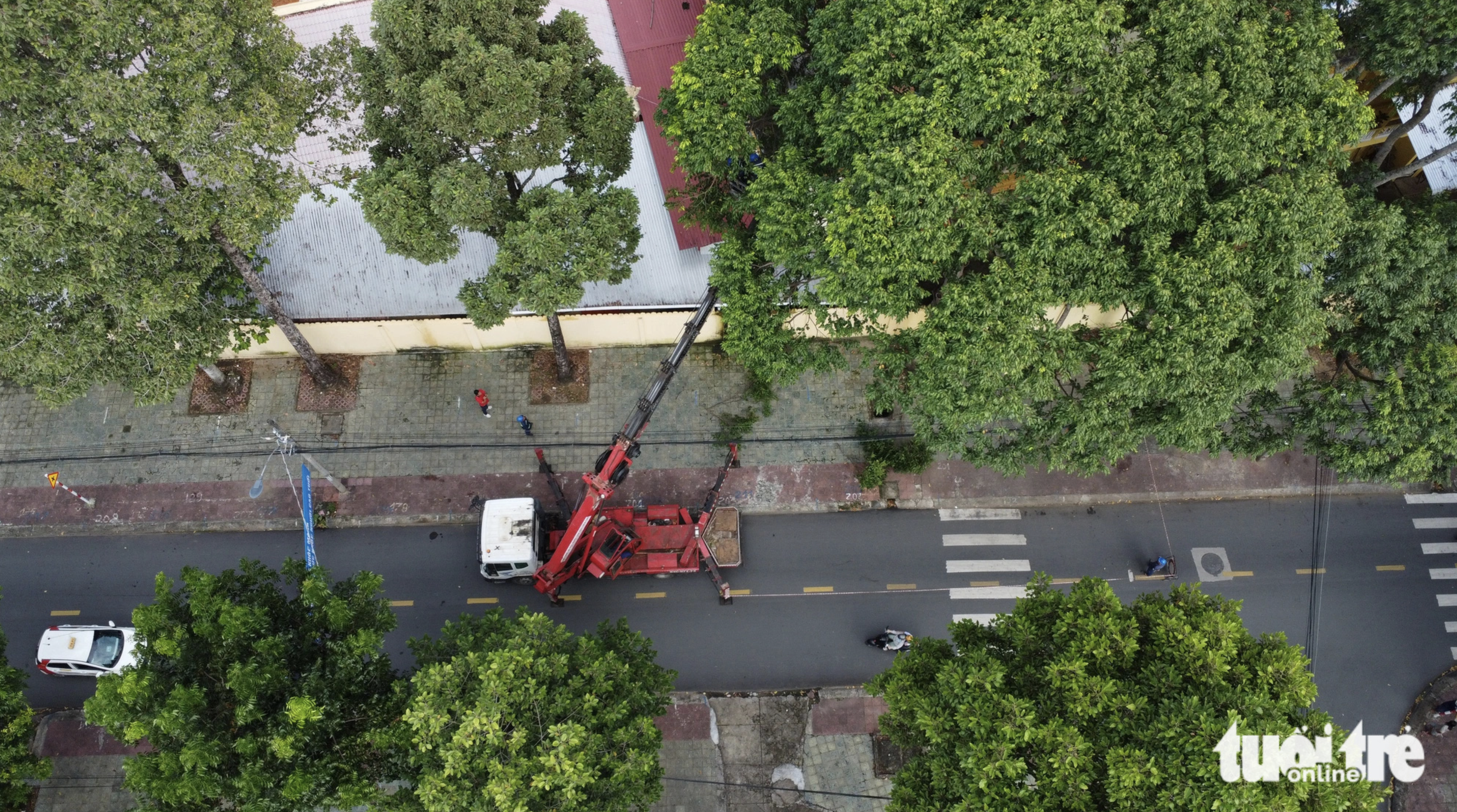 A street in Tra Vinh City is filled with shade trees. Photo: Mau Truong / Tuoi Tre