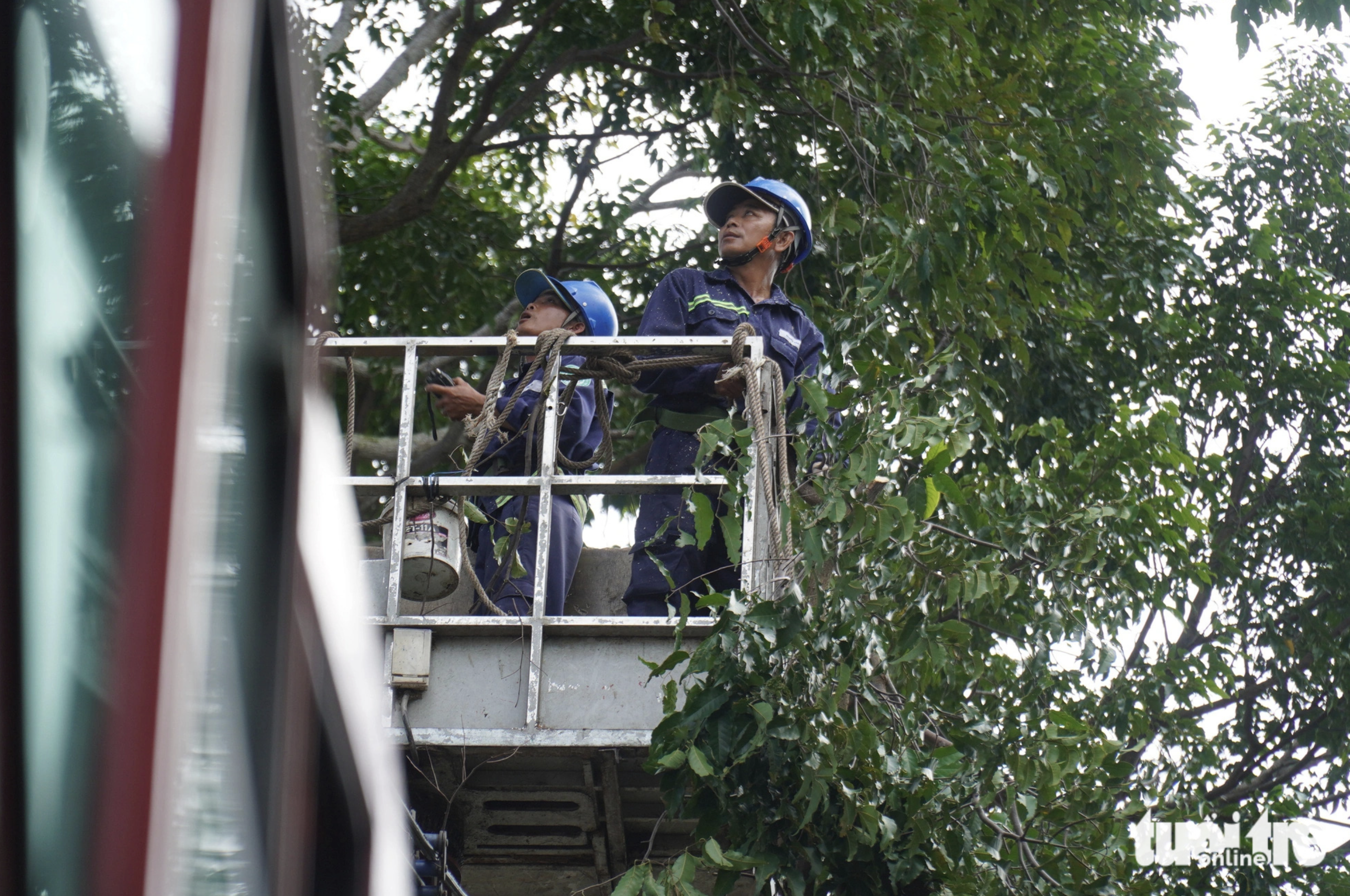 Two workers stand on an aerial lift to trim trees in Tra Vinh City to ensure the safety of commuters. Photo: Mau Truong / Tuoi Tre